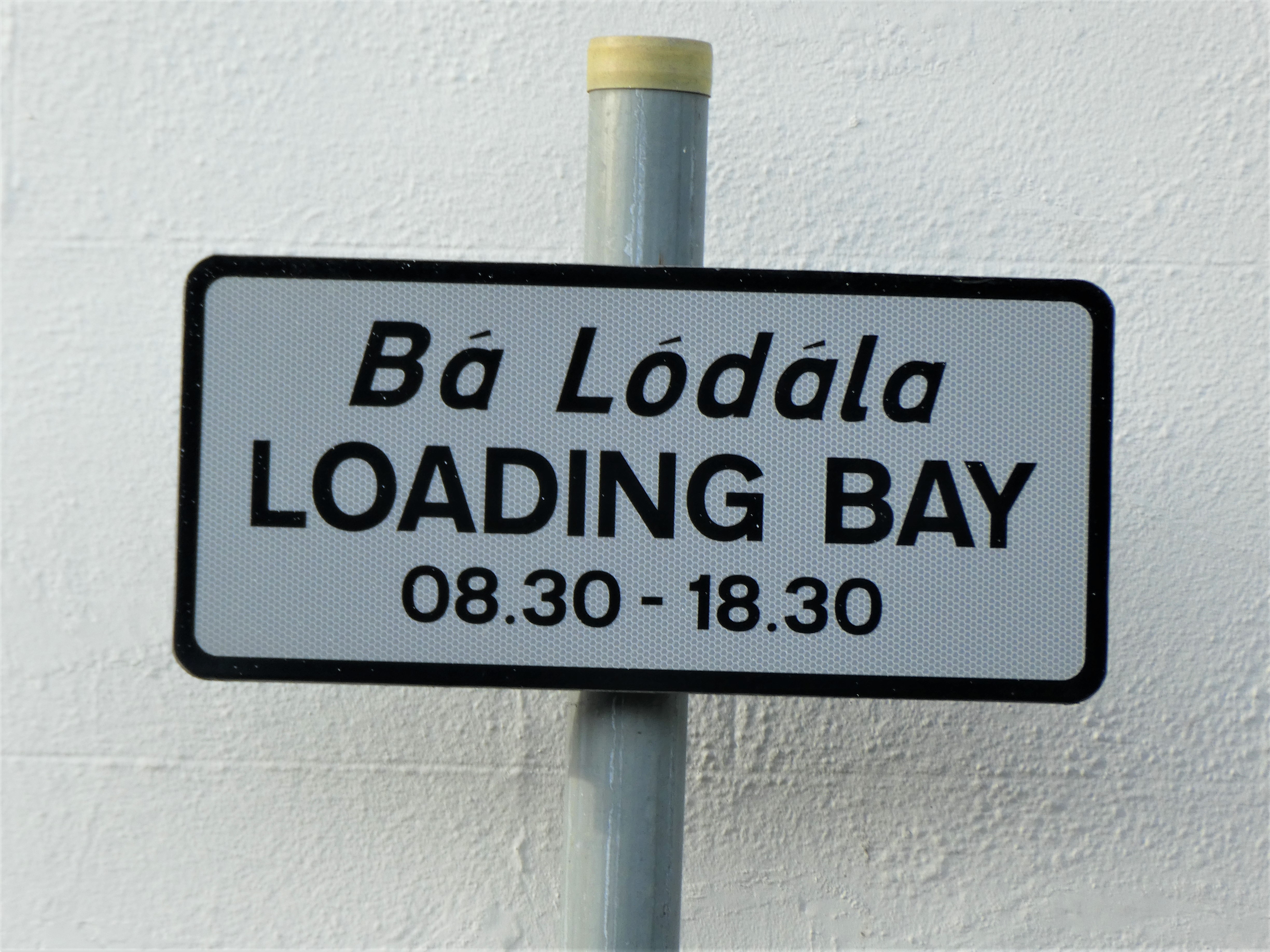 爱尔兰 Leixlip 街边 Loading Bay 装卸车位标志照片，牌子写有 Bá Lódála、LOADING BAY 和 08.30-18.30。