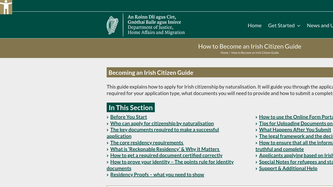 ISD 的 Irish citizenship naturalisation 官方说明页面