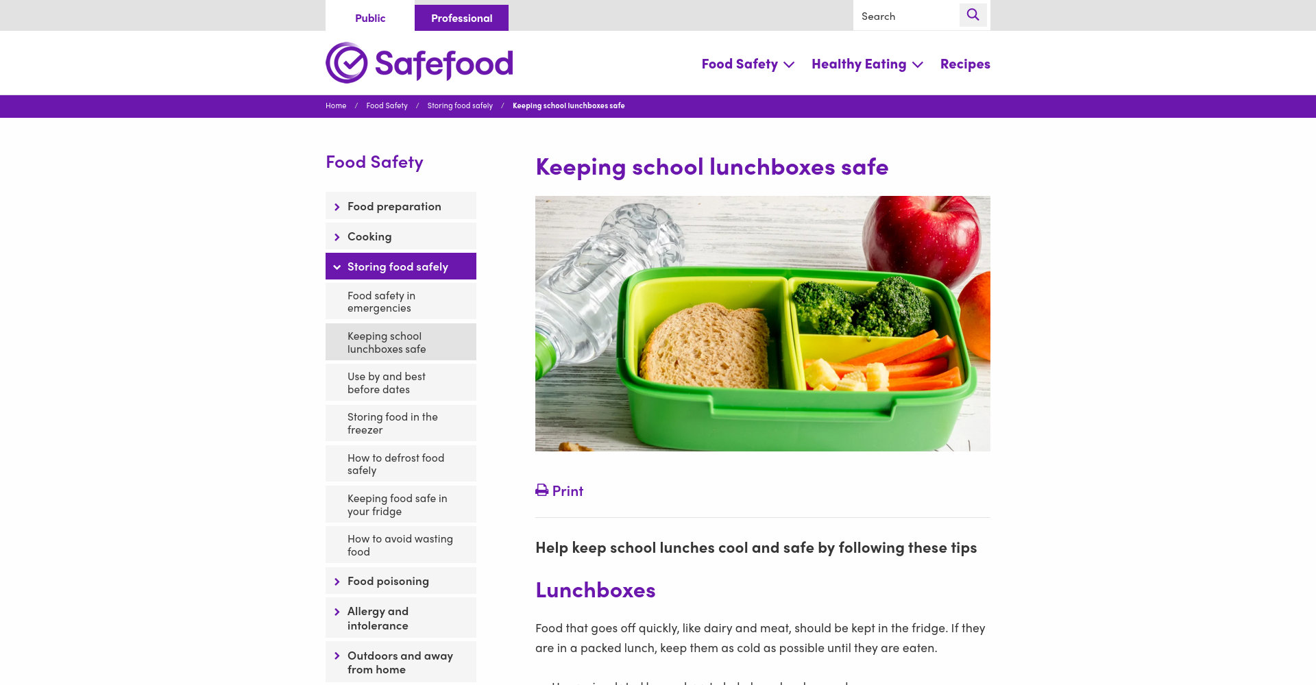 Safefood 关于学校午餐盒食品安全的指南，提供易腐食品保冷与饭盒清洁建议。