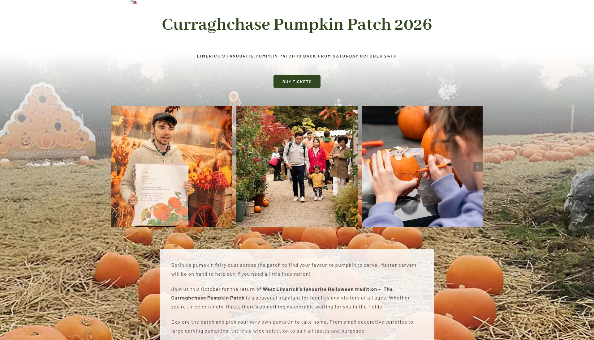 利默里克 Curraghchase 南瓜田：选南瓜、拍万圣节主题照第1步报名页面截图