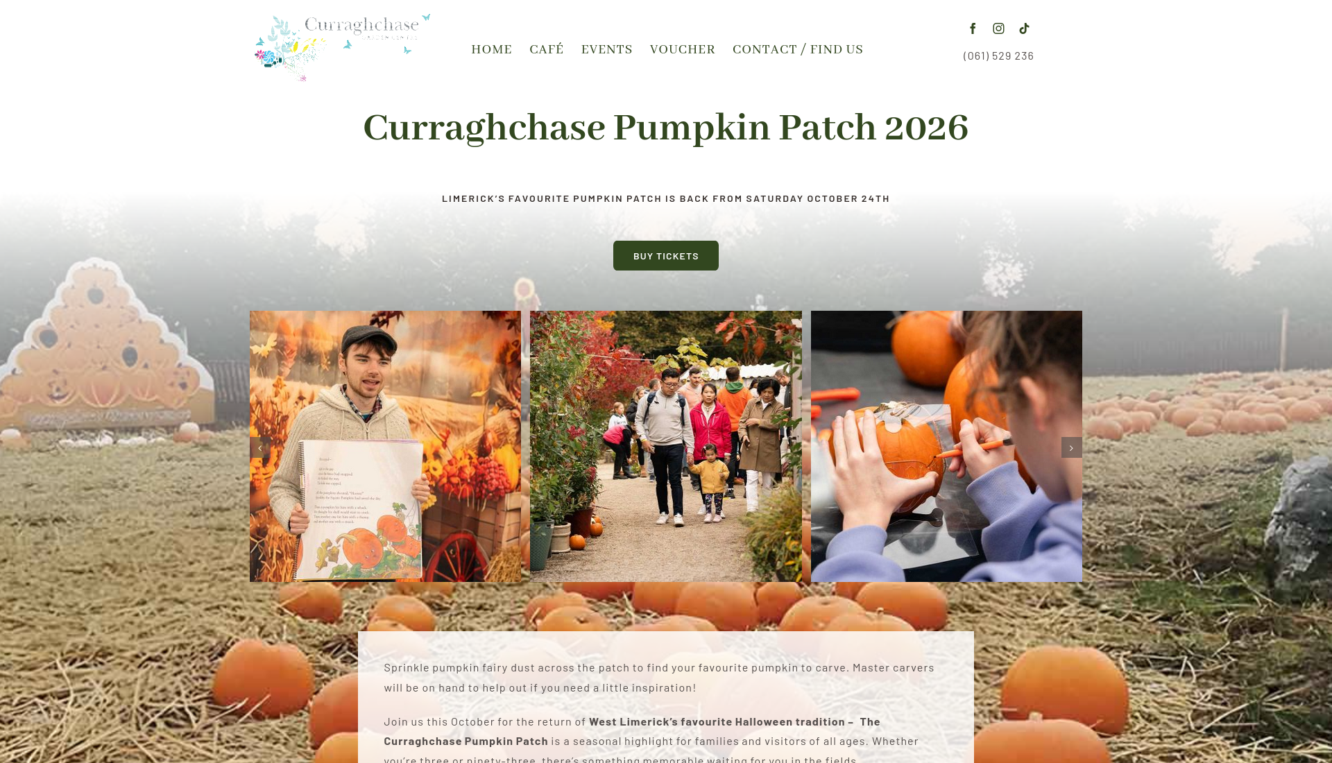 利默里克 Curraghchase 南瓜园：万圣节选南瓜体验第1步报名页面截图