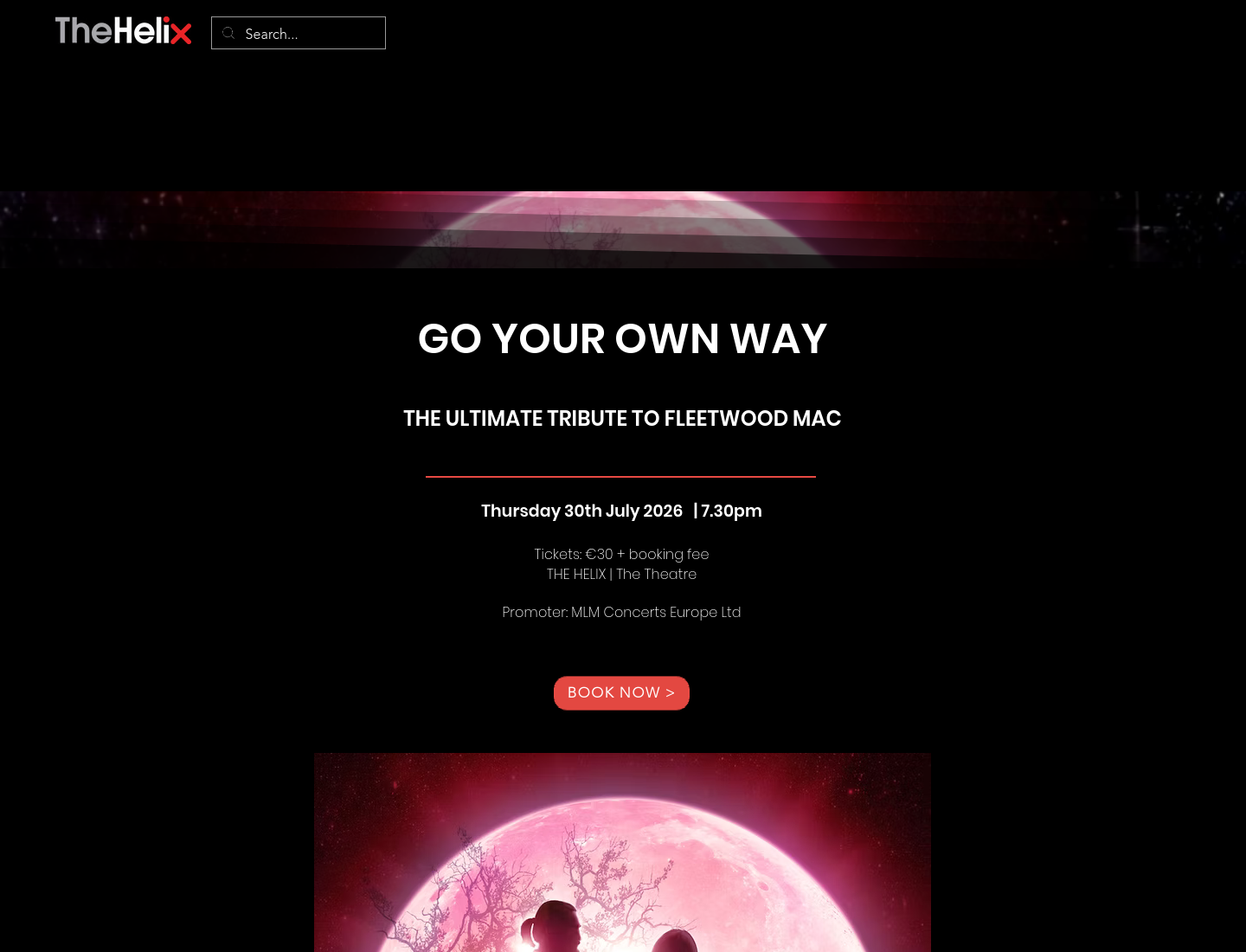 都柏林经典摇滚金曲现场：Go Your Own Way第1步报名页面截图