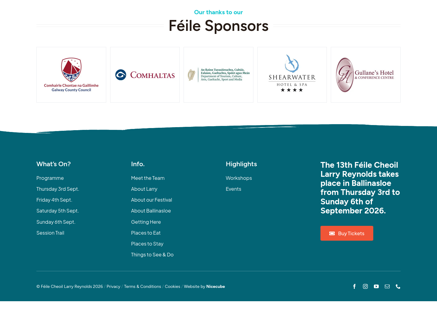 Ballinasloe 爱尔兰传统音乐节：现场演出与音乐工作坊第1步报名页面截图