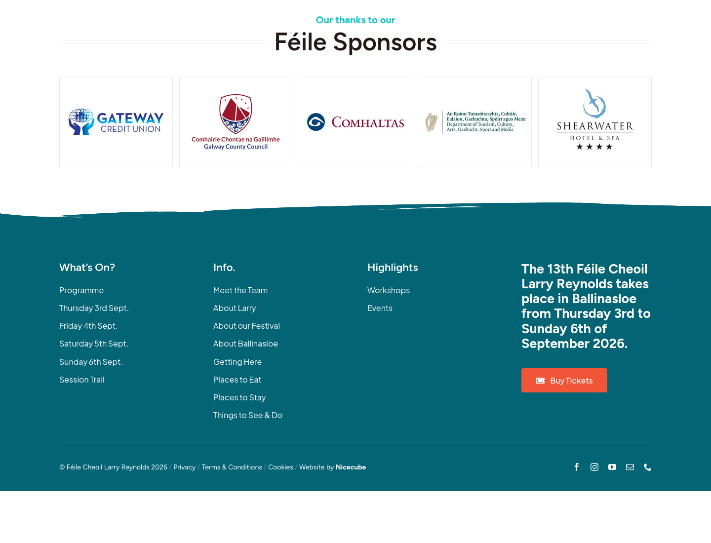 Ballinasloe 爱尔兰传统音乐节：现场演出与音乐工作坊第2步报名页面截图