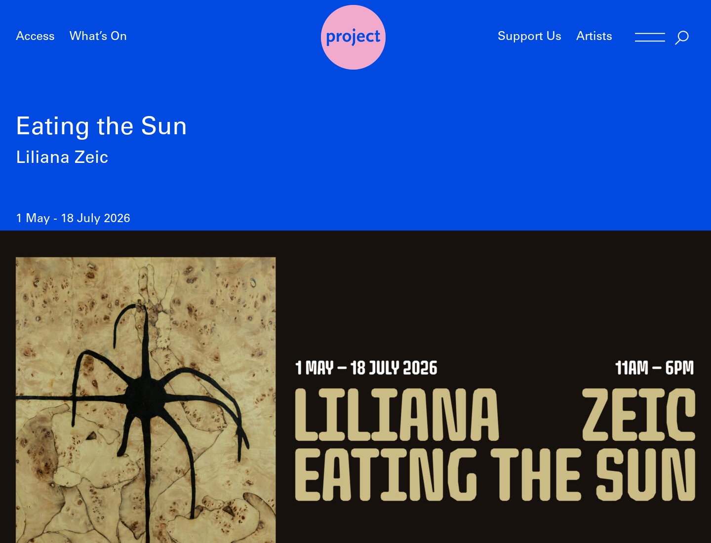 都柏林《Eating the Sun》艺术展：探索中东欧女同性恋艺术第1步报名页面截图