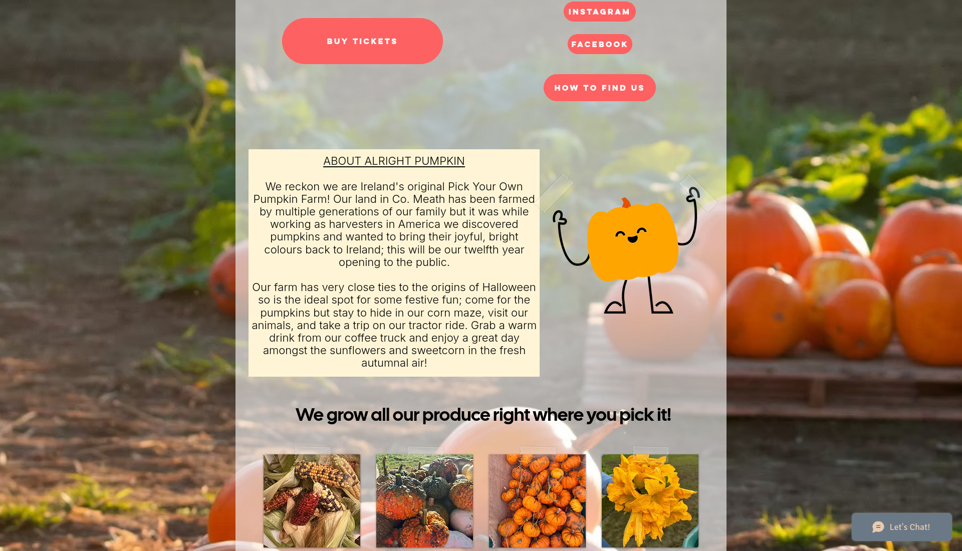 米斯郡 Alright Pumpkin 南瓜田秋日游：迷宫、干草车与农场体验第2步报名页面截图