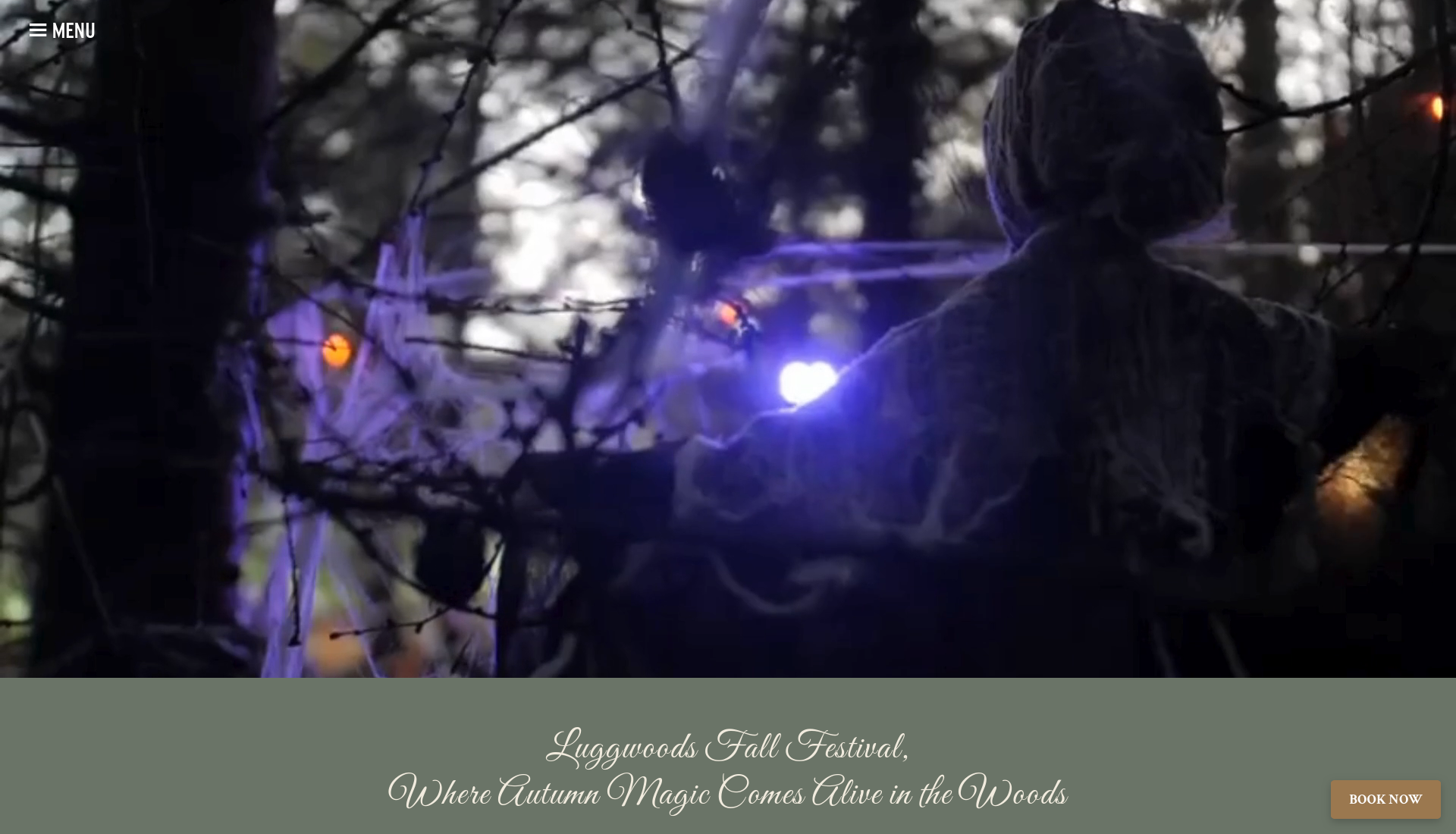 都柏林 Luggwoods 万圣节森林列车与南瓜节第1步报名页面截图