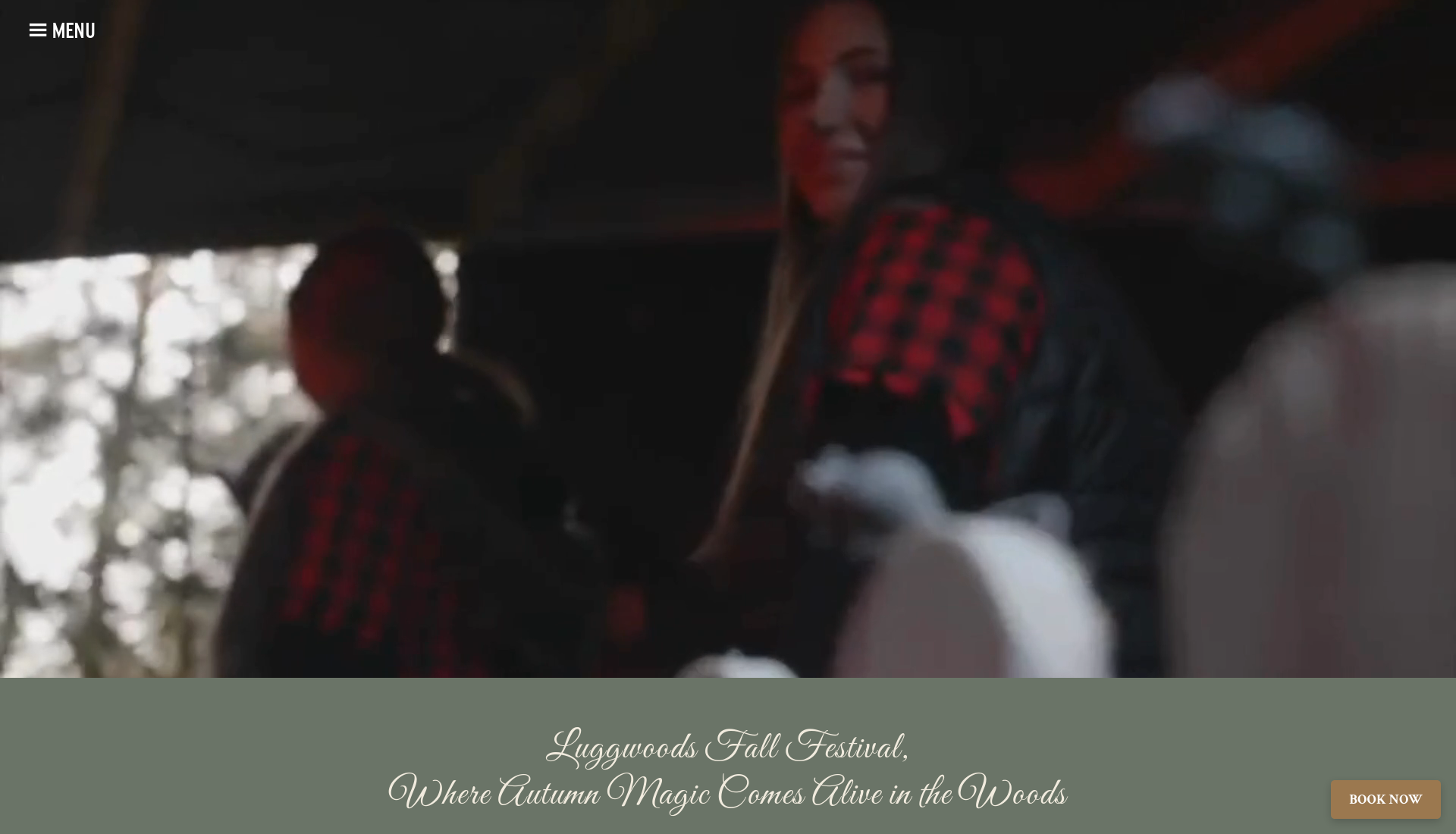 都柏林 Luggwoods 万圣节森林列车与南瓜节第1步报名页面截图