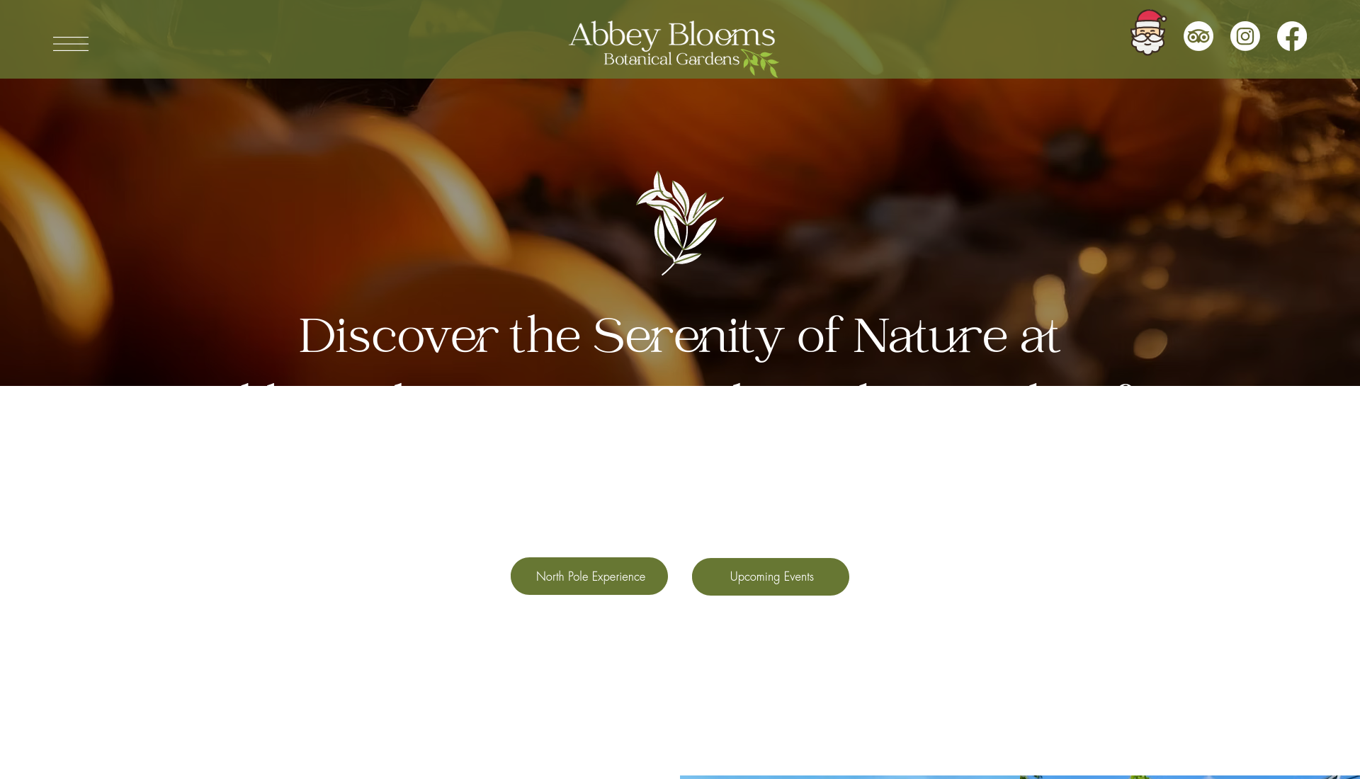 Abbey Blooms 万圣节主题花园与夜间灯光展第1步报名页面截图