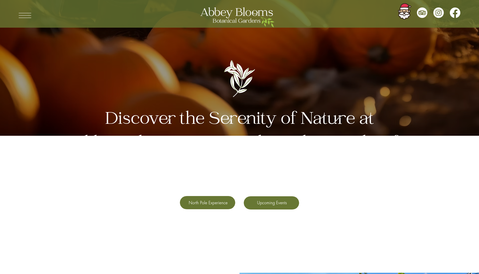Abbey Blooms 万圣节主题花园游园第1步报名页面截图