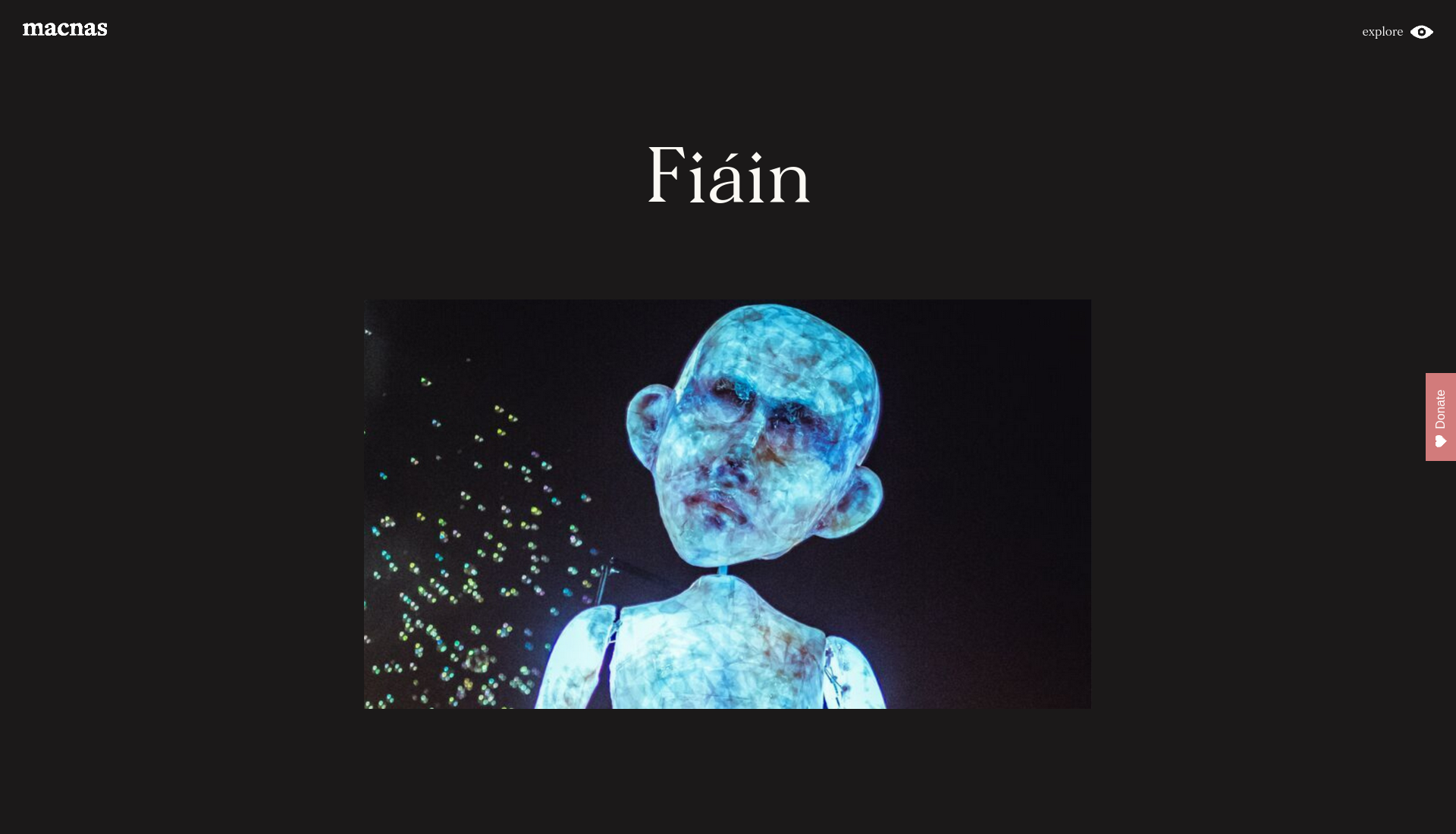 戈尔韦 Fiáin 万圣节巡游：Macnas 40周年特别庆典第1步报名页面截图