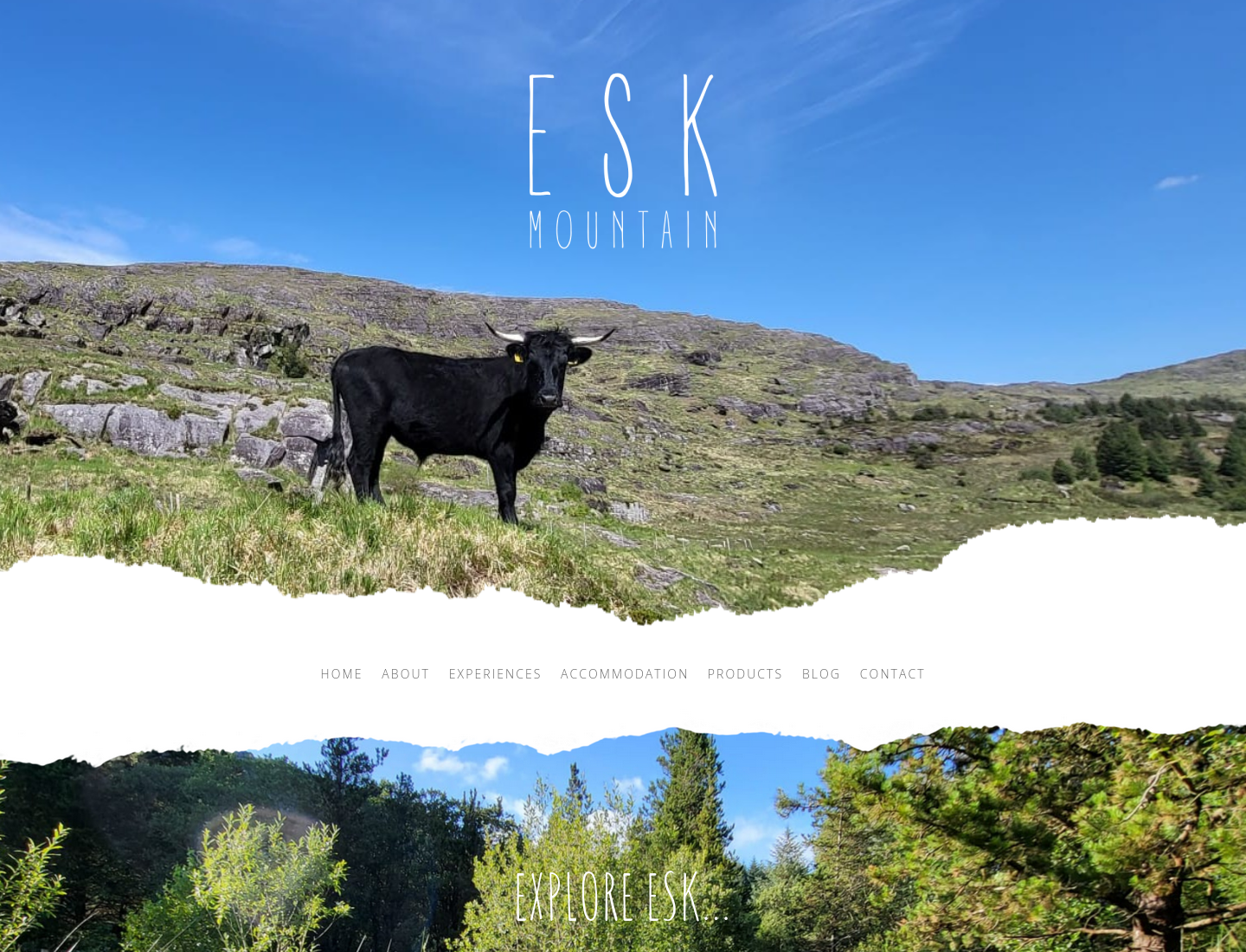 Esk Mountain 野生食材采集与篝火晚餐体验第1步报名页面截图