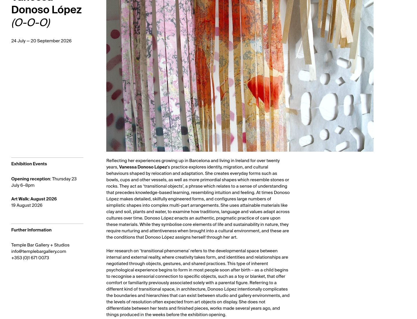 都柏林沉浸式艺术展：Vanessa Donoso López 材料装置展第2步报名页面截图