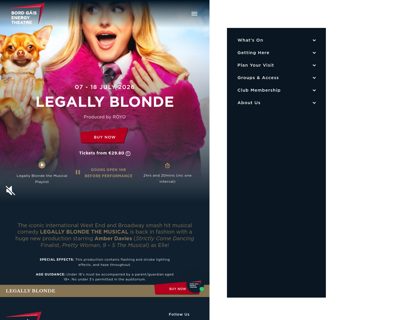 《Legally Blonde》都柏林舞台版（续场）第1步报名页面截图