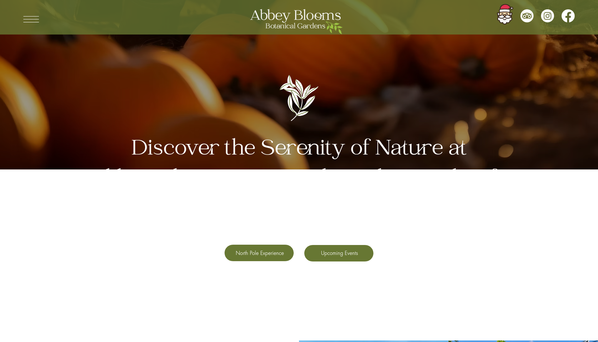 Abbey Blooms 万圣节花园：白天赏秋，夜间看亮灯展示第1步报名页面截图