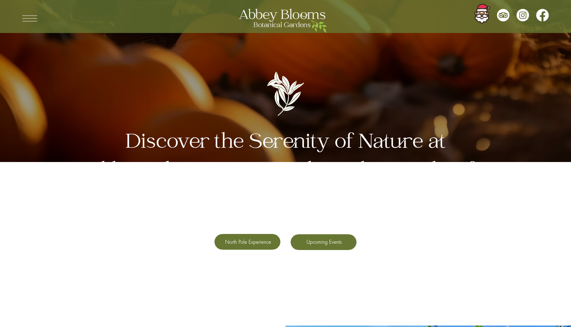Westmeath Abbey Blooms 万圣节夜间灯光花园第1步报名页面截图