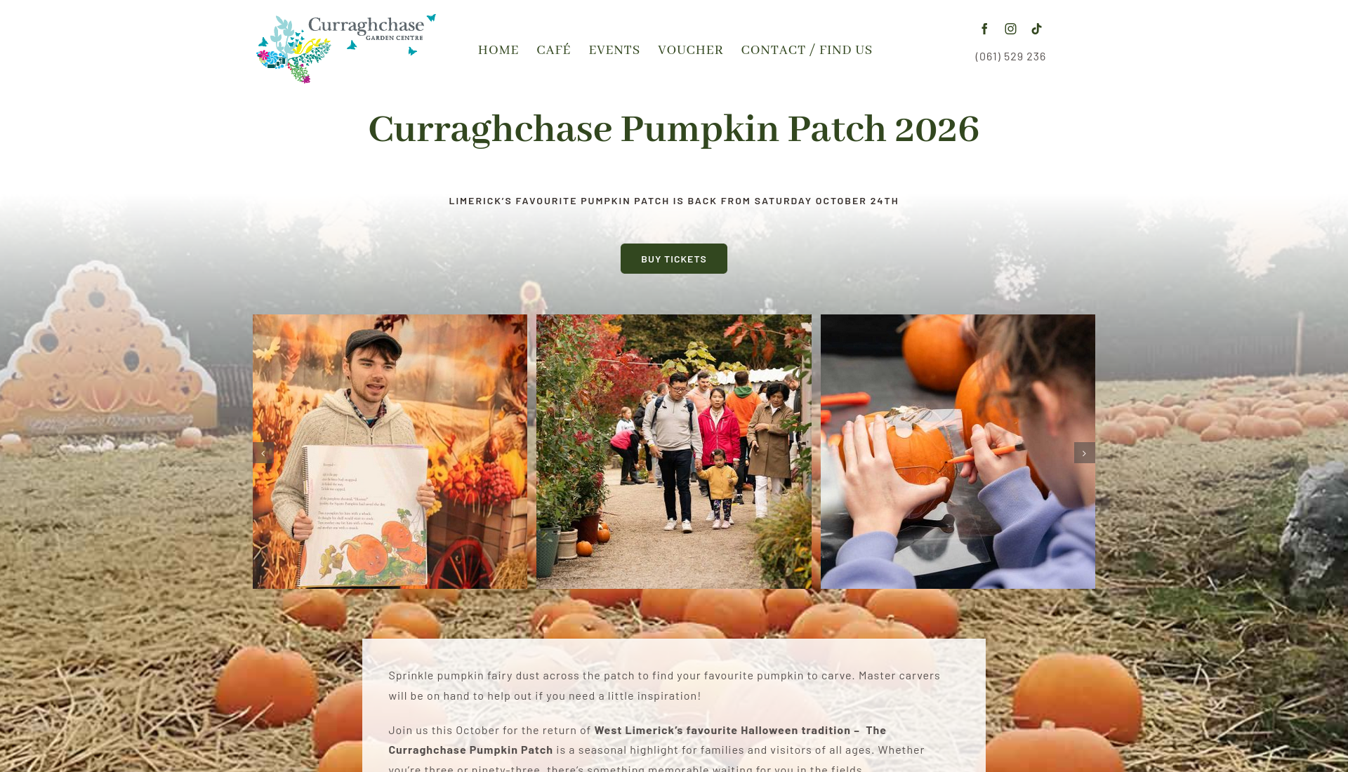 利默里克 Curraghchase 南瓜园：万圣节家庭采摘与拍照第1步报名页面截图